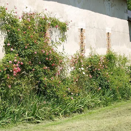 Chambres D'hotes Le Chalet