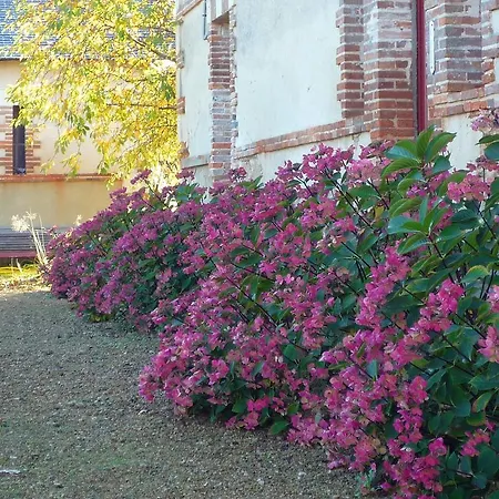 Bed & Breakfast Chambres D'hotes Le Chalet Les Bois-d'Anjou