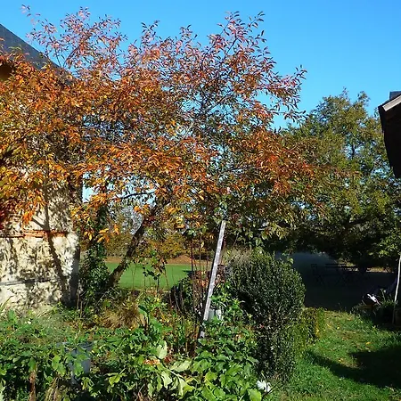 לינה וארוחת בוקר Chambres D'hotes Le Chalet Les Bois-d'Anjou